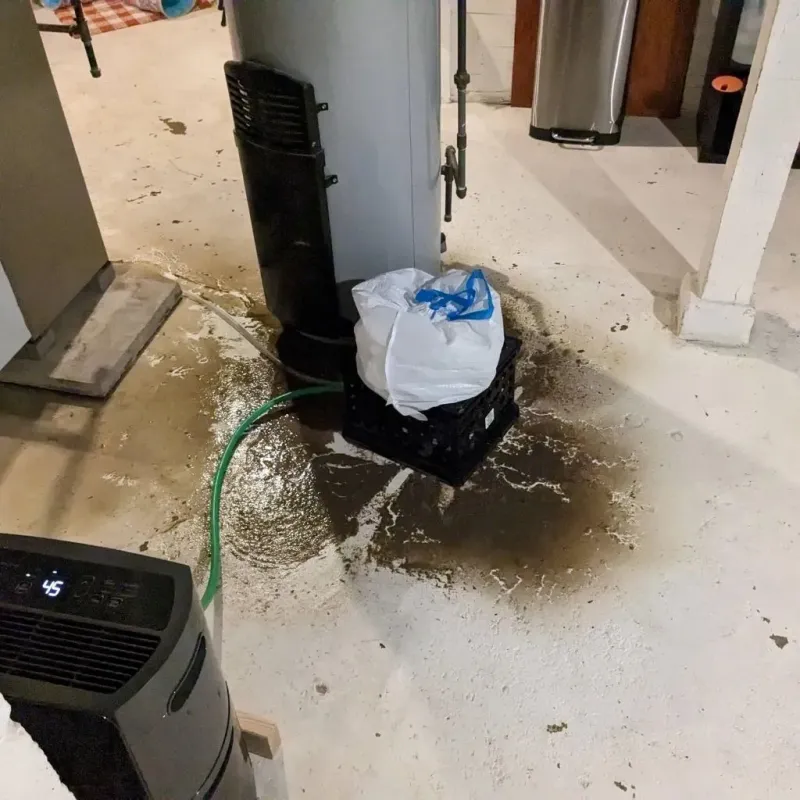 Sewage Backup Cleanup Service in Muhlenberg County, KY